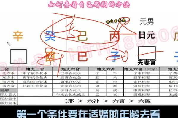 四柱八字排盘揭秘：如何准确分析你的命运走势