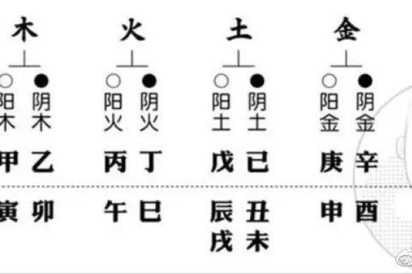天干地支属性推算表揭秘：如何准确解读五行命理