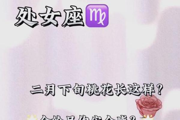 日坐桃花：揭秘女命中的爱情运势秘密