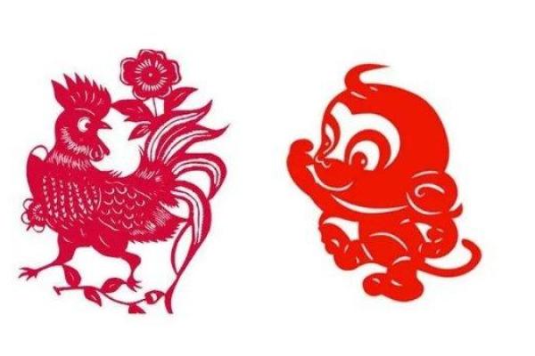 鸡牛配对大揭秘：真的天生一对吗？