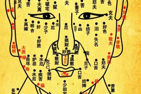 痣相揭秘：脸上这些痣暗示你将大富大贵