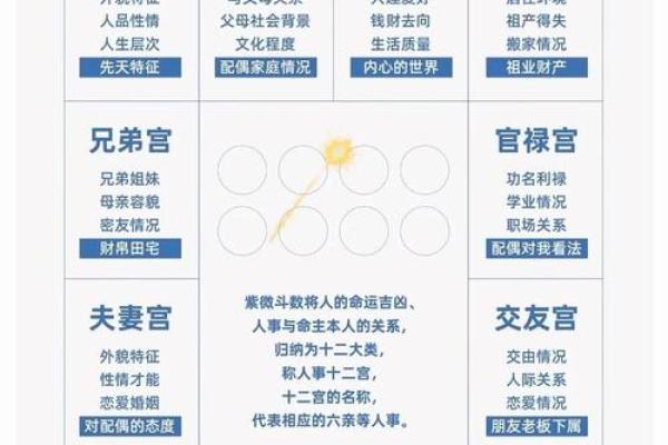 解密紫微大师排盘：如何通过命盘看透你的未来