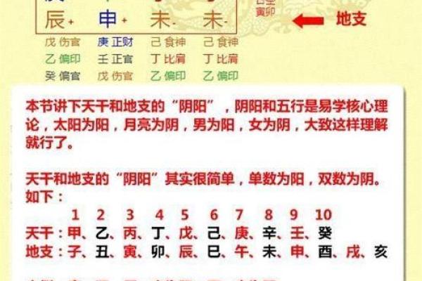 解密紫微大师排盘：如何通过命盘看透你的未来