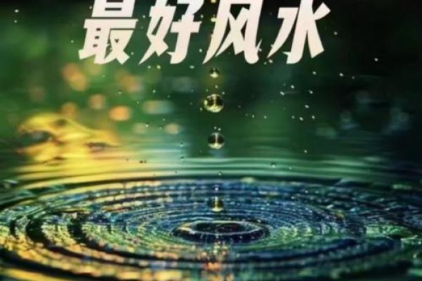 水鸡命：揭秘你为何总是遇水则发