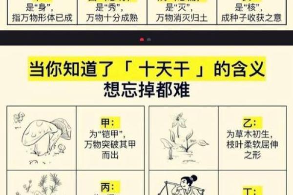 天干求法深度解析，提升命理判断力