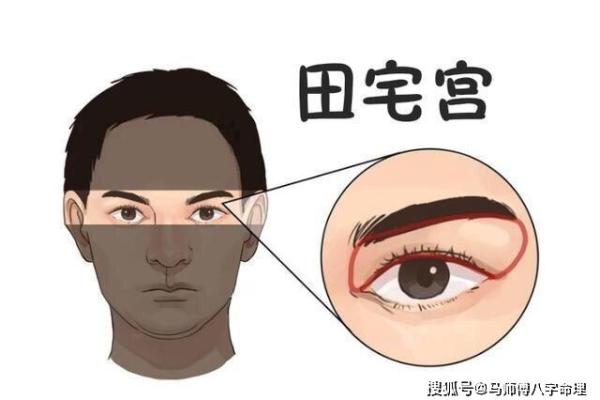 揭秘狮骨命：你的运势密码，一探究竟