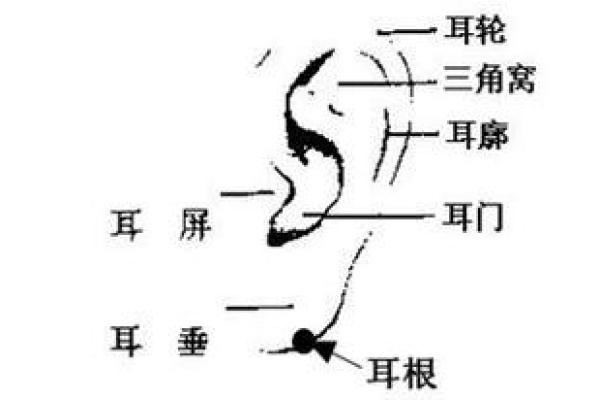 耳朵上的痣，男人命运中的关键信号
