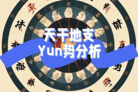 破解天干凤凰的奥秘，开启好运之门