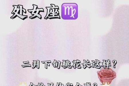 日坐桃花：揭秘女命中的爱情运势秘密