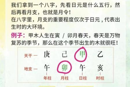 八字预测疾病的秘密：如何从命理看健康隐患