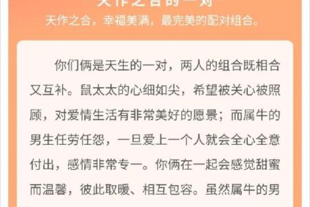 牛郎配织女？揭秘男猪配牛的神奇婚姻奇迹