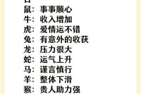 探秘元通利亨八字排盘，如何影响人生运势