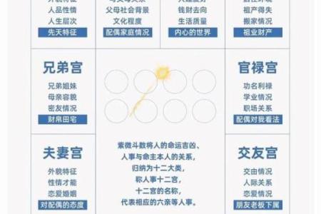 解密紫微大师排盘：如何通过命盘看透你的未来