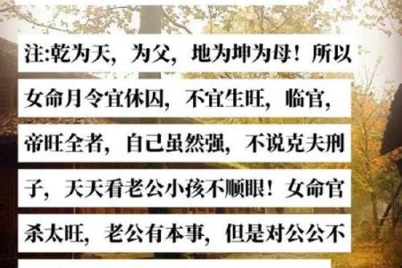 深入圆融通达命理，解锁命运中的关键因素