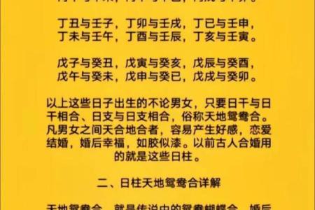 四柱命理入门：掌握易经八字，洞察未来趋势
