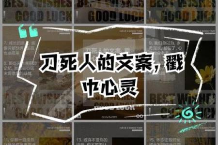 给刀起个名字，提升你的刀的灵魂和气质