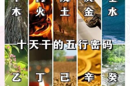揭秘天干己的独特属性，为什么它在命理中至关重要