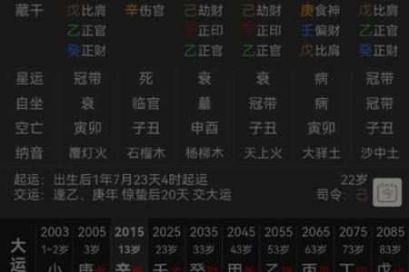 庚午日柱命理揭秘：运势亨通，财富滚滚的秘密