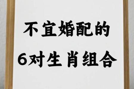 属相配婚秘籍：揭秘最佳拍档