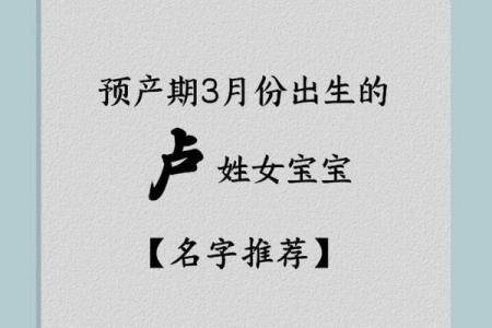 适合卢姓男孩的高分名字，轻松脱颖而出