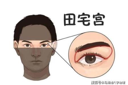 揭秘狮骨命：你的运势密码，一探究竟