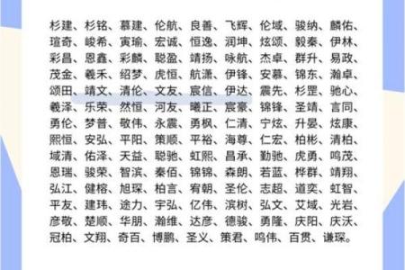 创意十足的动物起名技巧，轻松取出超萌名字