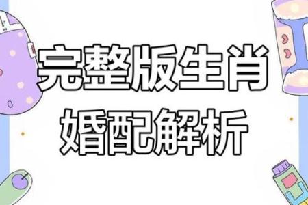 狗猪组合，天生一对？婚姻匹配揭秘