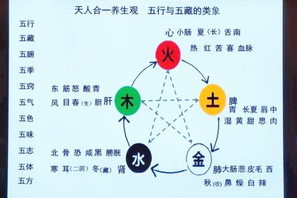 五脏与天干的神秘联系，你知道吗