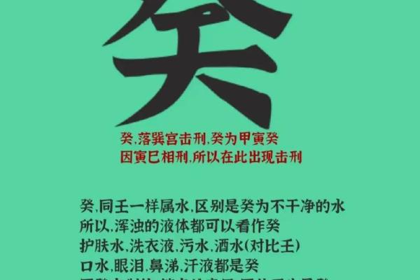 揭秘乙癸辛命：你了解自己的命运密码吗？