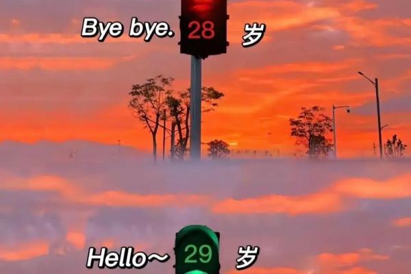 29岁：揭秘你的命运密码，解锁人生新篇章