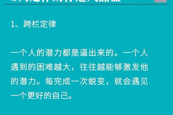 九神排盘解析：你的命运密码就在这里