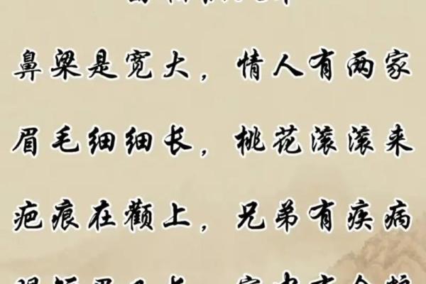 识人术揭秘：一眼看穿面相，揭秘命运走向