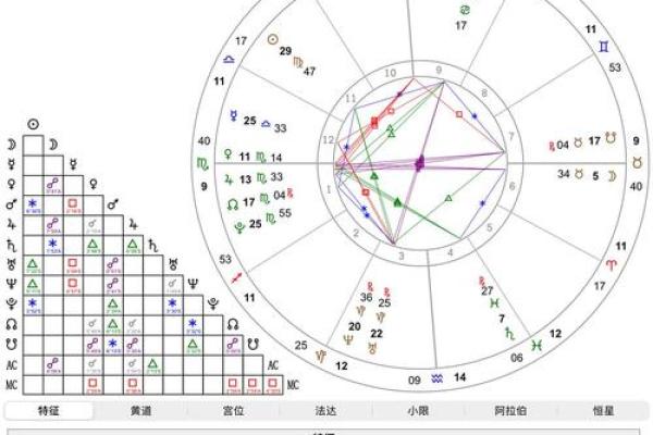 星座排盘揭秘：如何根据星盘解读你的命运轨迹