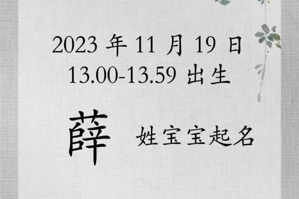 薛姓宝宝取名攻略，独特又有寓意的名字推荐