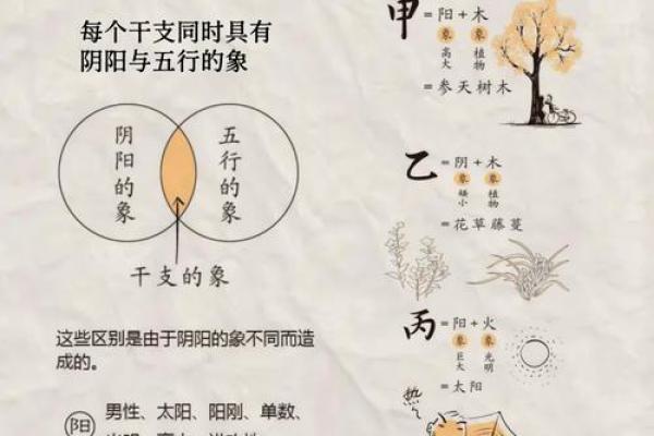 探索天干：从古代到现代的奇妙关联