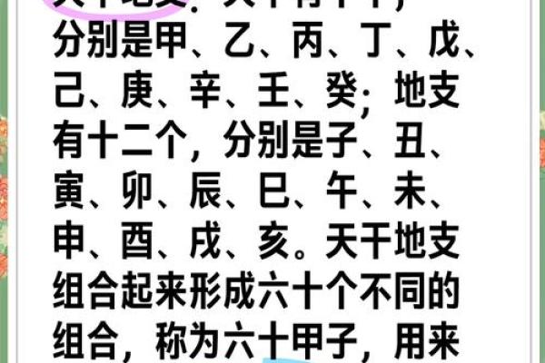 探索天干：从古代到现代的奇妙关联