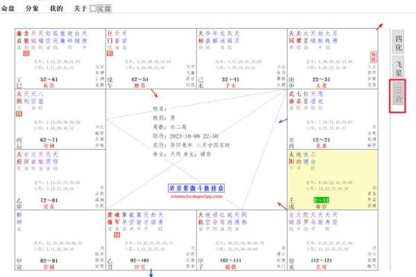 紫微斗数排盘秘籍：如何精准分析个人命运