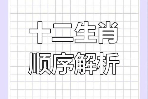 鼠与鸡，相配还是相冲？揭秘生肖奥秘