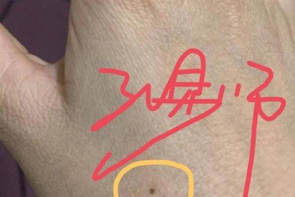 痣相之谜：揭秘如何醉死在枕边