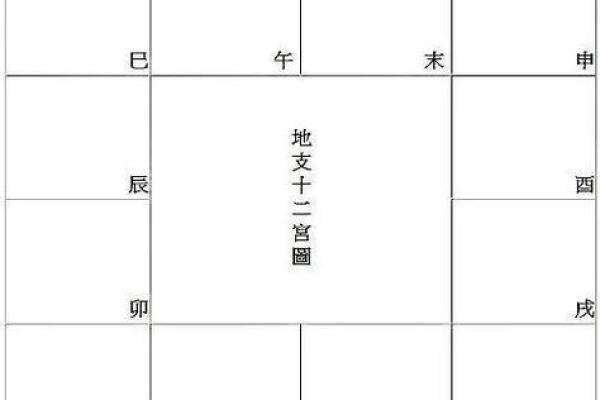 紫微排盘有多少种类型？每种都能告诉你什么秘密！
