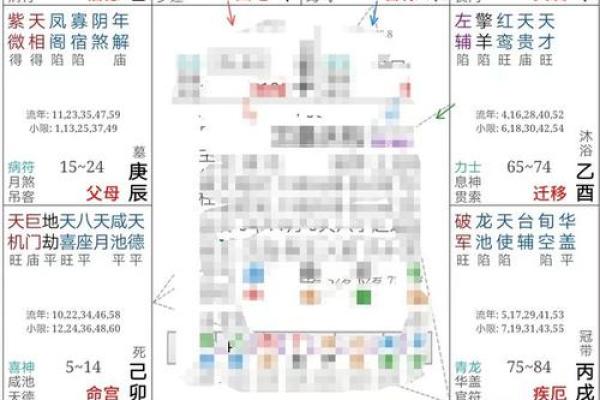 紫微排盘有多少种类型？每种都能告诉你什么秘密！