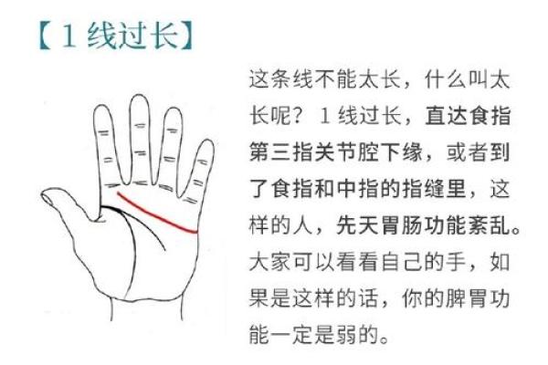 深度解析命理刀掌中线：你掌纹的命运轨迹