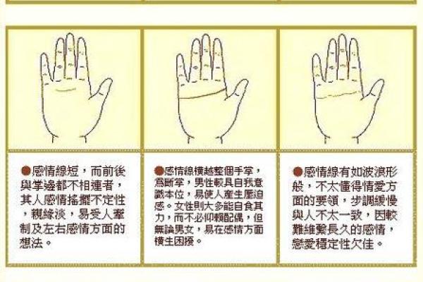 深度解析命理刀掌中线：你掌纹的命运轨迹