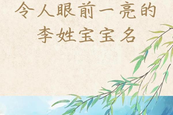 给李姓宝宝起名字，快速找到最合适的选择