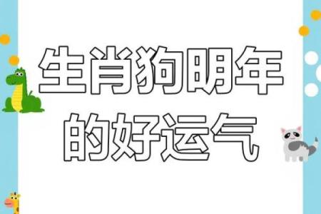 狗缘天定？揭秘属狗与狗的完美搭配