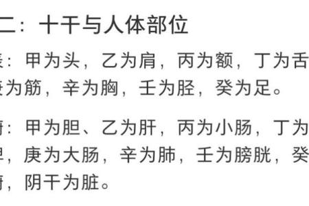 五脏与天干的神秘联系，你知道吗