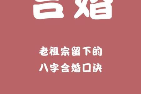 八字配对助力婚姻幸福，了解命理中的最佳组合