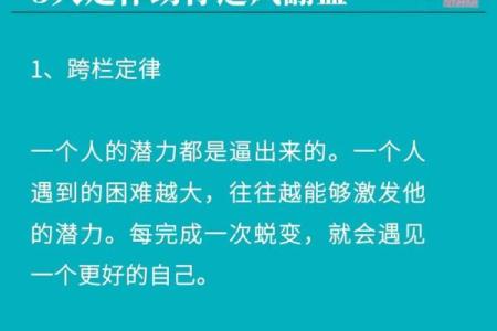 九神排盘解析：你的命运密码就在这里
