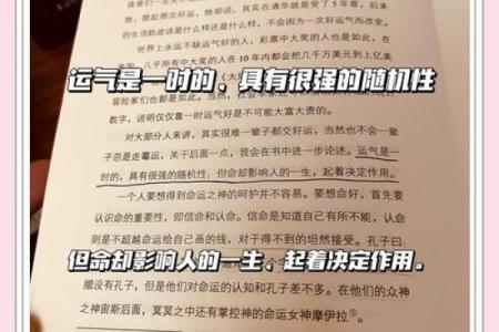 命度：揭秘人生成败的关键因素