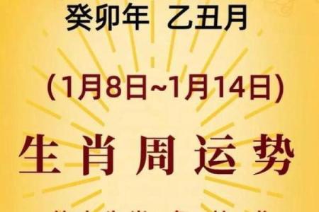 猴年猴月，揭秘生肖猴的最佳搭配